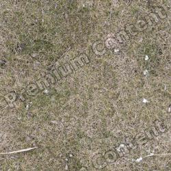 Seamless Grass Dead